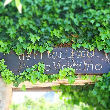 Agriturismo Parco Vecchio-2